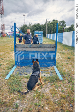 German Shepherd dog looking at handlers on playground German Shepherd dog looking at handlers on playground 68538217