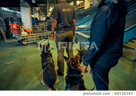 Detection dogs on duty with security guards at airport Detection dogs on duty with security guards at airport 68538343