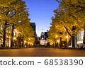 Ginkgo Trees and Former Hokkaido Government Office Building Red Brick Office Building 68538390