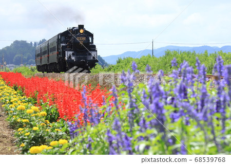 Moka Railway "SL and colorful flower-line scenery" 68539768