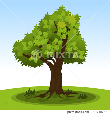 Summer tree with green leaves 68540235