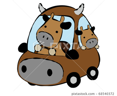 Cattle 02_06 (Parent and child of cattle driven by car) 68540372