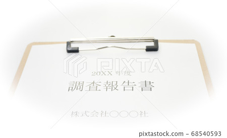 Preparation of survey report 68540593