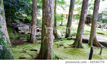 Former Chikurinin Green in early summer Former Chikurinin Green in early summer 68540770