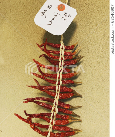 我們去日本吧 68540907