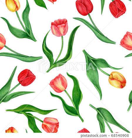 Seamless floral patter with tulips. Vintage watercolor collection. 68540908