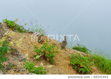 Northern Alps landscape story (Nakabo Onsen-Tsubame-dake-Otate-dake) 68541443
