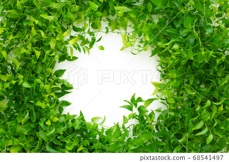 Asparagus Smyrax 68541497