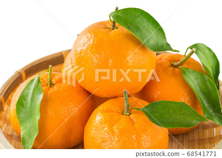 Ripe poncan with leaves Ripe poncan with leaves 68541771