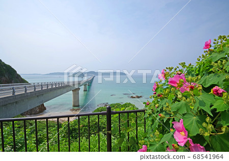 下關市最受歡迎的旅遊勝地有：tsunoshima橋和翡翠綠海 68541964