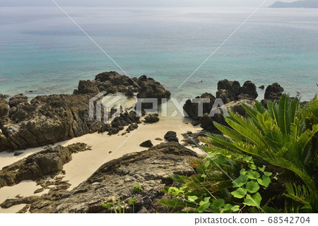 [鹿兒島縣Am美大島]倉崎海岸的大海 68542704