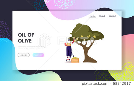 Natural Oil Production Landing Page Template. Woman Collecting Ripe Olives from Branch with Green Berries and Leaves Natural Oil Production Landing Page Template. Woman Collecting Ripe Olives from Branch with Green Berries and Leaves 68542917
