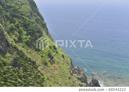 [鹿兒島縣Am美大島] Okaneku Fureai Park的珊瑚礁和蘇鐵 68543222