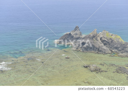 [Kagoshima Prefecture, Amami Oshima] Coral reefs and cycads of Okaneku Fureai Park 68543223