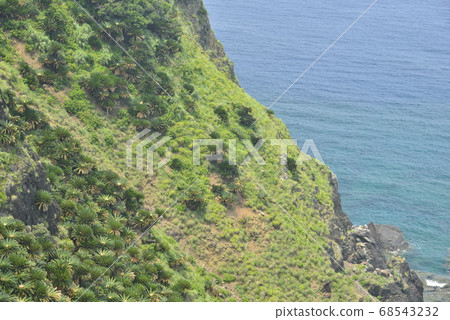 [Kagoshima Prefecture, Amami Oshima] Coral reefs and cycads of Okaneku Fureai Park 68543232