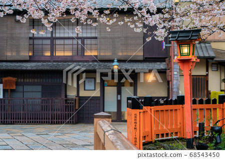Shooting cherry blossoms in Higashiyama Gion Shirakawa, Kyoto city in spring Shooting cherry blossoms in Higashiyama Gion Shirakawa, Kyoto city in spring 68543450