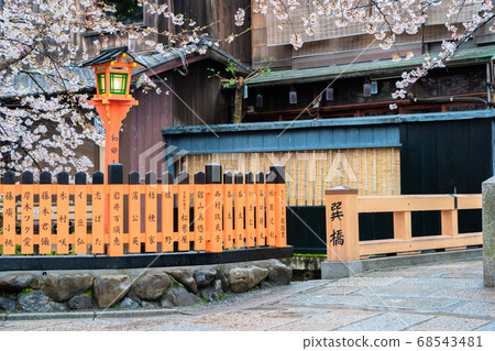 Shooting cherry blossoms in Higashiyama Gion Shirakawa, Kyoto city in spring 68543481