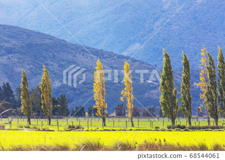 Autumn in New Zealand 68544061