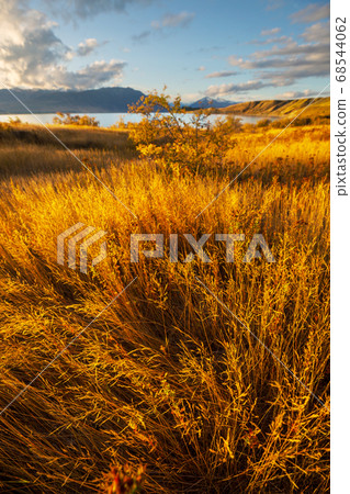 Autumn in New Zealand Autumn in New Zealand 68544062