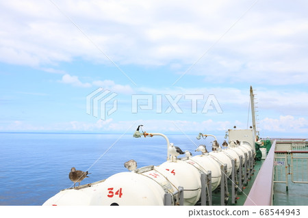 Seabirds on the Sado Kisen Ferry 68544943