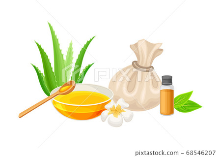 Spa Treatment with Essential Oil in Bowl and Aloe Plant Vector Composition 68546207