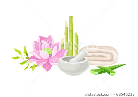 Bamboo, Aloe and Lotus Flower as Spa Treatment Vector Composition 68546232