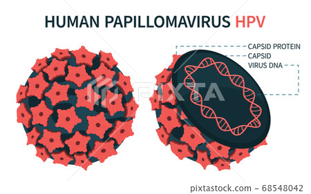 An enlarged schematic structure of papilloma virus An enlarged schematic structure of papilloma virus 68548042