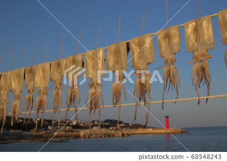 Dry squid in the sea village Dry squid in the sea village 68548243