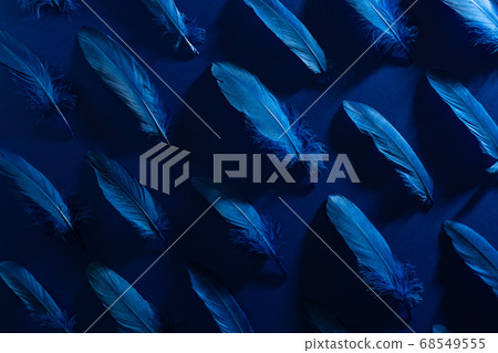 Set of soft indigo colored blue feathers lying in order 68549555