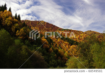 Bright colorful forest on hills at autumn time on background of blue sky with clouds, Svaneti, Georgia 68549581