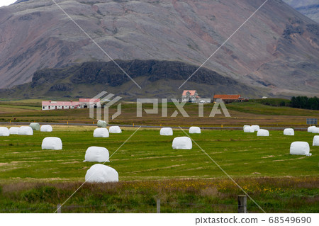 Bale of fodder grass wrapped in white plastic lying on the field during stormy cloud in Iceland. 68549690
