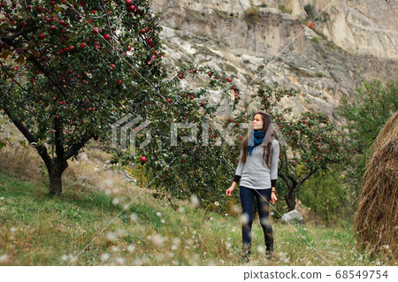 Young beautiful woman walking elegant among apple trees with big red apples in garden. Background of rocky mountains Young beautiful woman walking elegant among apple trees with big red apples in garden. Background of rocky mountains 68549754