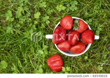 strawberry in bowl close up photo on green grass background strawberry in bowl close up photo on green grass background 68549816