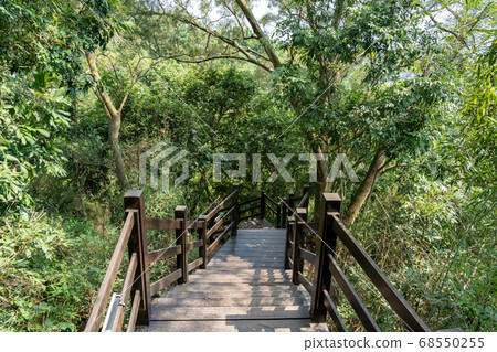 Taiga Mountain Trail, Taichung City, Beitun Taiwan Taiga Mountain Trail, Taichung City, Beitun Taiwan 68550255