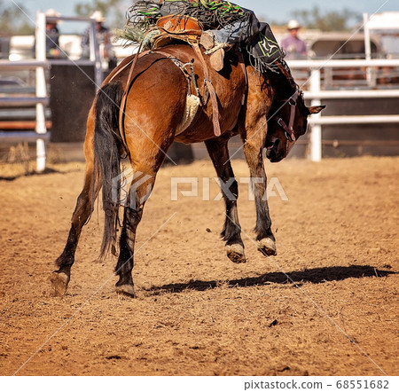 Cowboy Rides Bucking Rodeo Horse 68551682