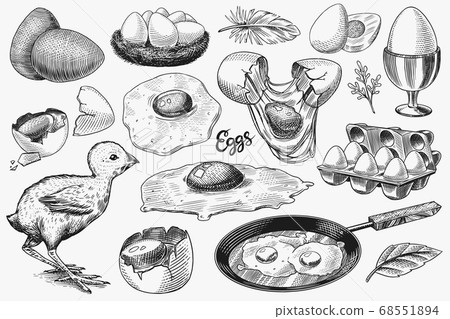 Eggs and chick, farm product, scrambled omelette, packing and nest. Engraved hand drawn vintage Eggs and chick, farm product, scrambled omelette, packing and nest. Engraved hand drawn vintage 68551894