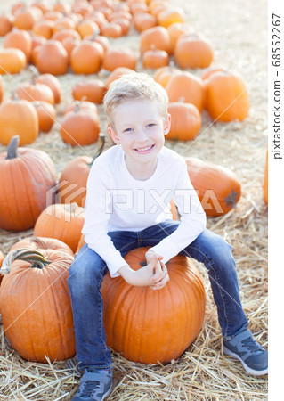 child at pumpkin patch 68552267