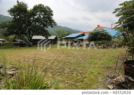 Rural area, farmhouse, Sangju, Maekmun-dong, pine tree Rural area, farmhouse, Sangju, Maekmun-dong, pine tree 68552630