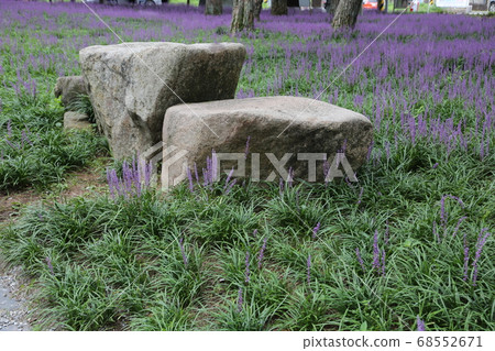 Rural area, farmhouse, Sangju, Maekmun-dong, pine tree 68552671