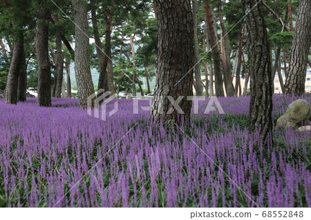 Byeongsan Seowon, Sangju-gun, Maekmun-dong, Solbat 68552848