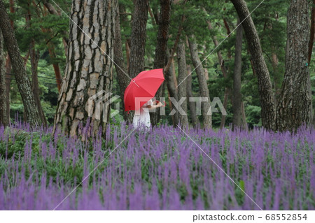 Byeongsan Seowon, Sangju-gun, Maekmun-dong, Solbat Byeongsan Seowon, Sangju-gun, Maekmun-dong, Solbat 68552854