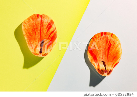 the petals of the flowers on multicolored background, top view 68552984