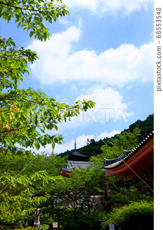 奈良高志郡的坪坂神社風景，廟宇，眼病，夏日風景，山岳風景[8月] 68553548