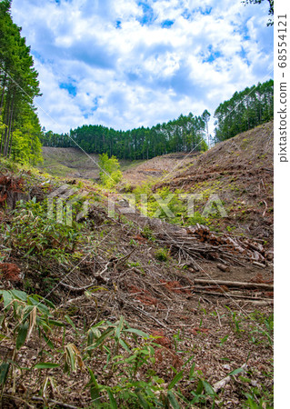 Naramata Dam Lakeside cut timber Minakami Town after felling Naramata Dam Lakeside cut timber Minakami Town after felling 68554121