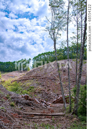 Naramata Dam Lakeside cut timber Minakami Town after felling Naramata Dam Lakeside cut timber Minakami Town after felling 68554122