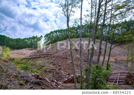 Naramata Dam Lakeside cut timber Minakami Town after felling 68554123