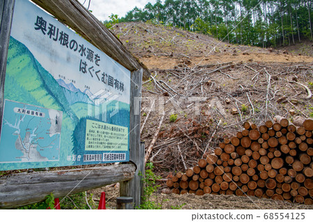 Naramata Dam Lakeside cut timber Minakami Town after felling Naramata Dam Lakeside cut timber Minakami Town after felling 68554125