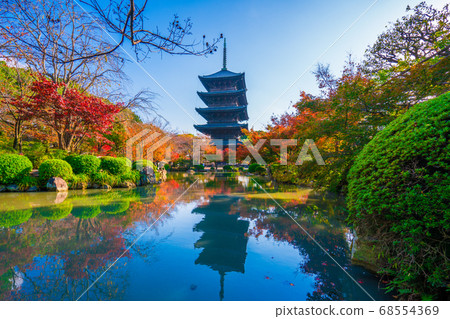 Autumn leaves in Toji, Kyoto 68554369
