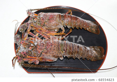 Frozenly transported lobster 68554823