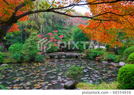 Autumn leaves at Kinchiin, Kyoto 68554939